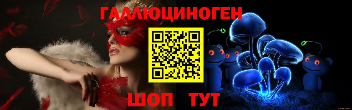 Псилоцибиновые грибы прущие грибы Зима